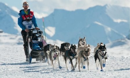 La Grande Odyssee Husky Sled Race Les Gets